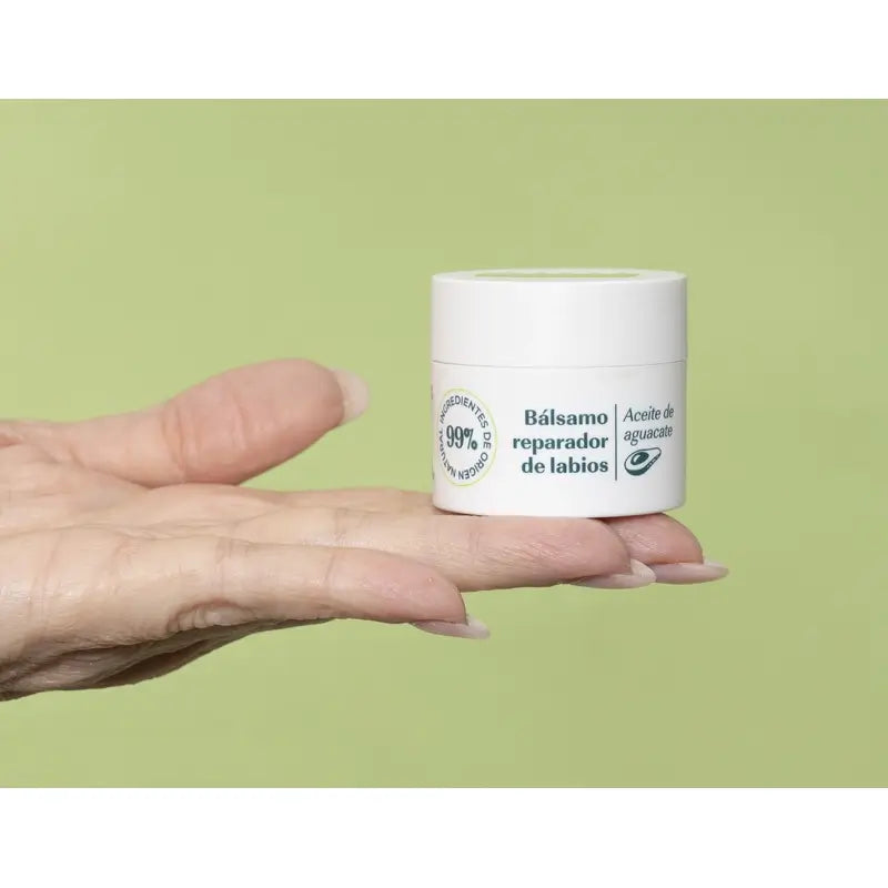 Green Cornerss Baume à lèvres à l'avocat 15 ml