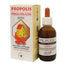 Gricar Propolis Sin Alcohol Adultos 50Ml. 