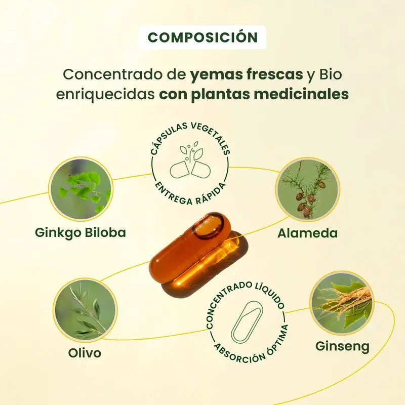 Herbalgem Gemmocaps Stress Protect Cognition, 30 gélules