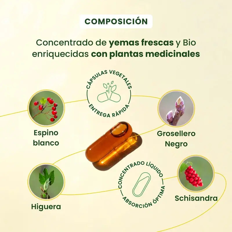 Herbalgem Gemmocaps Stress Protect Relax, 30 gélules