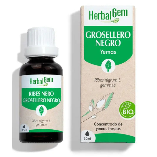 Herbalgem Cassis, 30ml