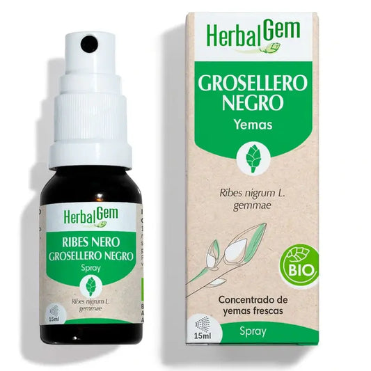 Herbalgem Cassis, 15ml