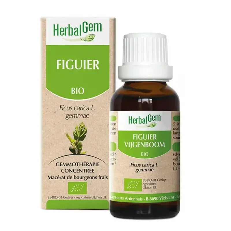 Herbalgem Figuier, 30ml