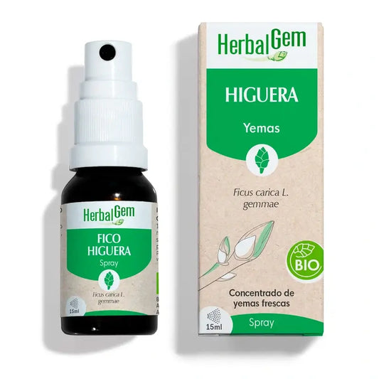Herbalgem Spray Figuier Bio, 15ml