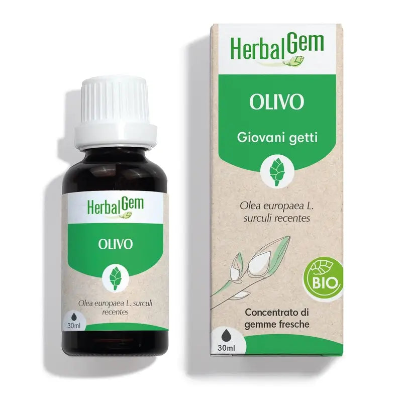 Herbalgem Olive Bio 30 Ml