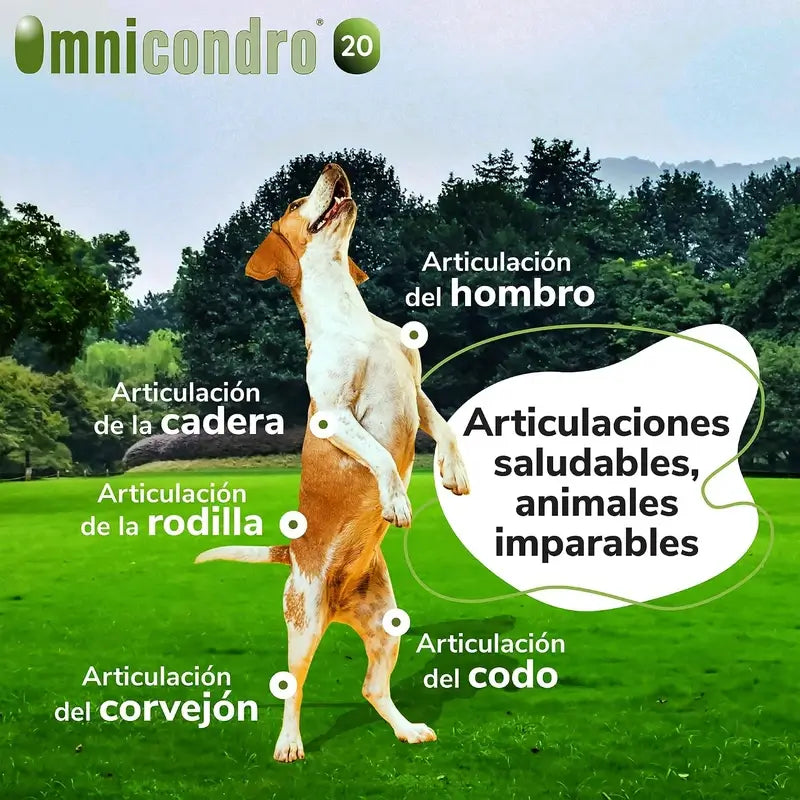 Omnicondro 10 Chondroprotecteur Chiens 60 comprimés