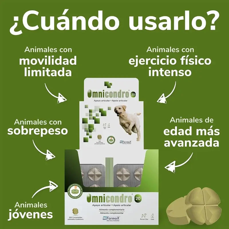 Omnicondro 20 mg, 300 comprimés