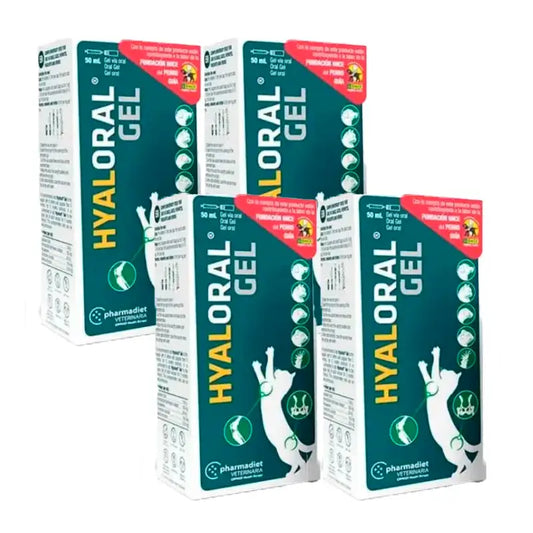Gel Hyaloral pour chiots et chats, paquet de 4 x 50 ml