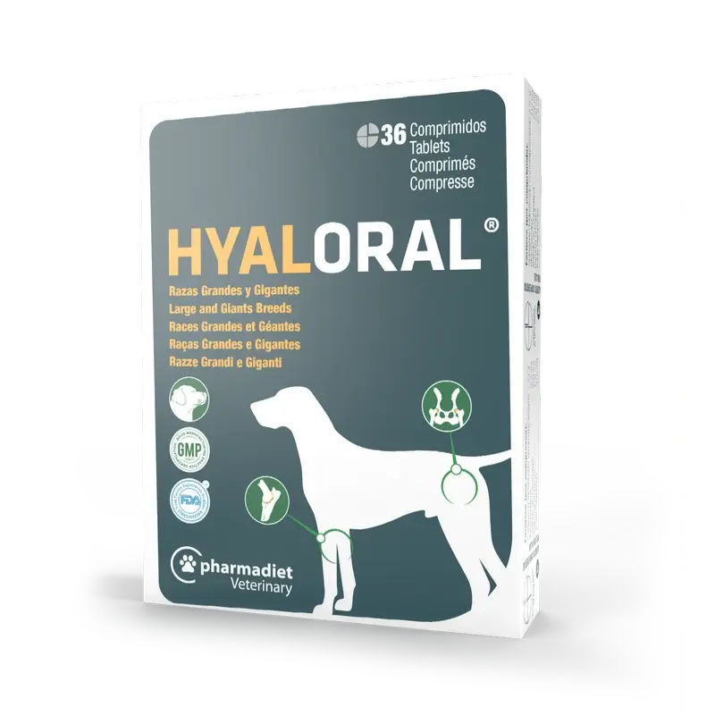 Hyaloral Chien de Grande et Grande Race, 36 comprimés