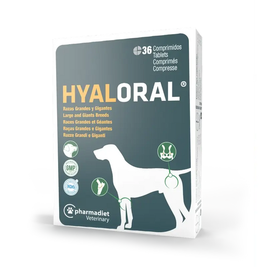 Hyaloral Chien de Grande et Grande Race, 36 comprimés