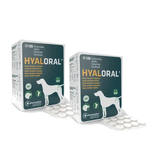 Hyaloral pour grands chiens, 120 comprimés, lot de 2