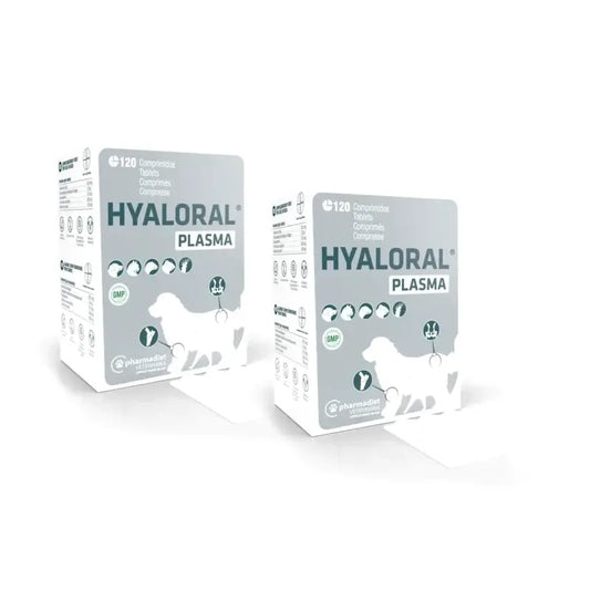 Hyaloral Plasma 120 comprimés, boîte de 2
