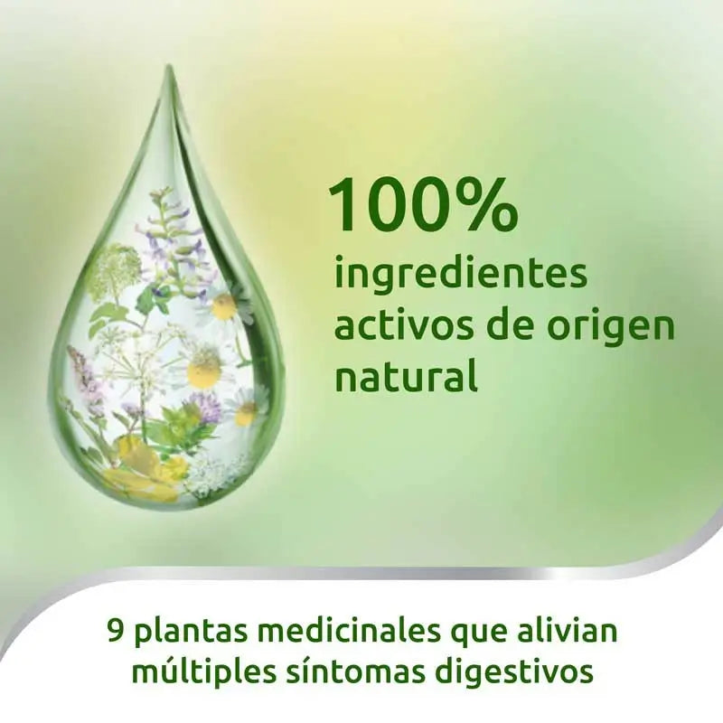 Iberogast gouttes orales 20 ml