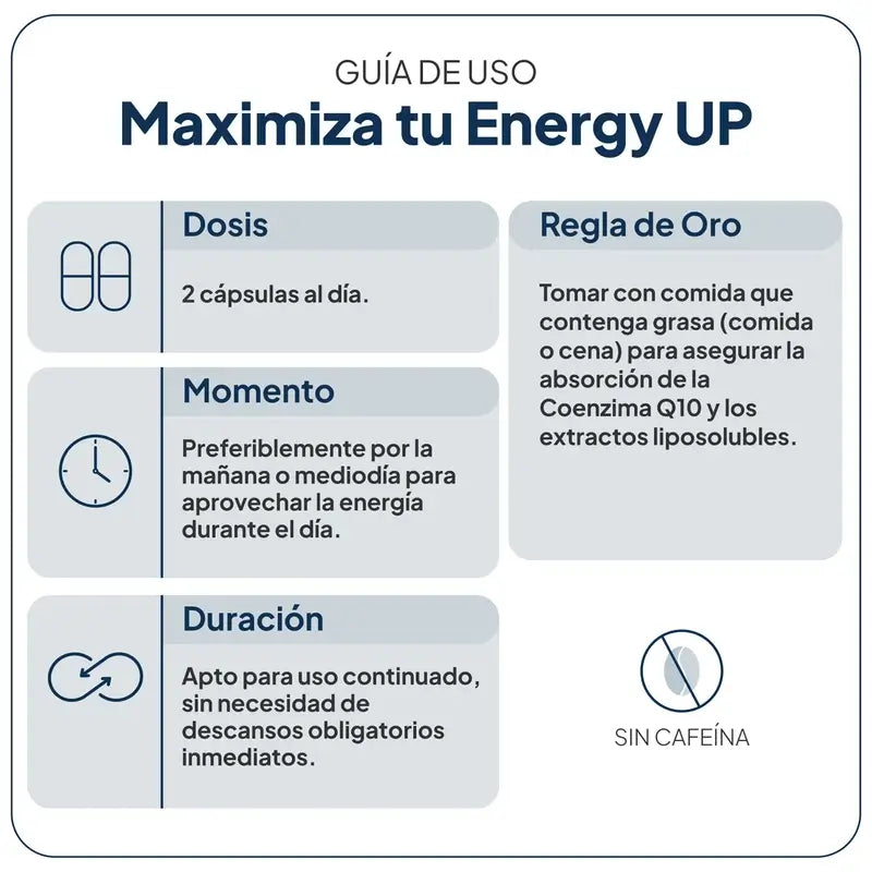 Ivb Wellness Lab Energy Up, 60 gélules