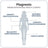 Ivb Wellness Lab Deep Rest Pack, Total Magnesium, 60 gélules + SomniLove, 180 g