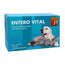 JTPharma Enterovital, 60 tablets