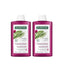 Klorane Shampooing Figue Barbare, 2X400 Ml