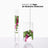 Klorane Barbaria Fig Shampooing 400Ml