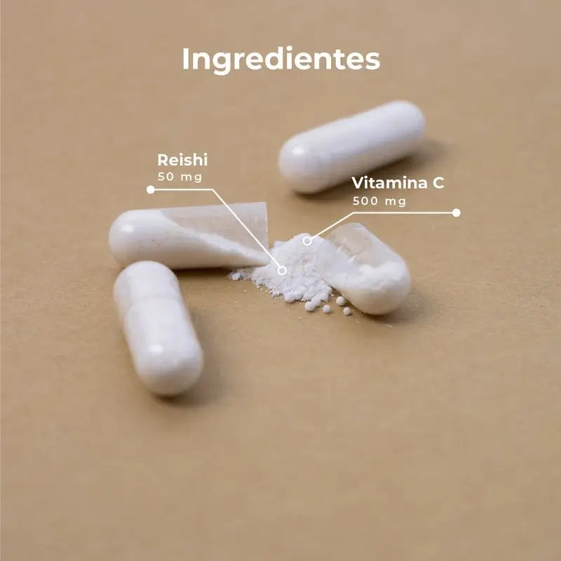 Kobho Labs Supplément de vitamine C liposomale + Reishi, 60 gélules