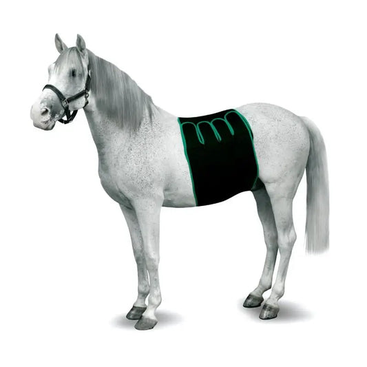 Kruuse Equine Bandage Recovery M