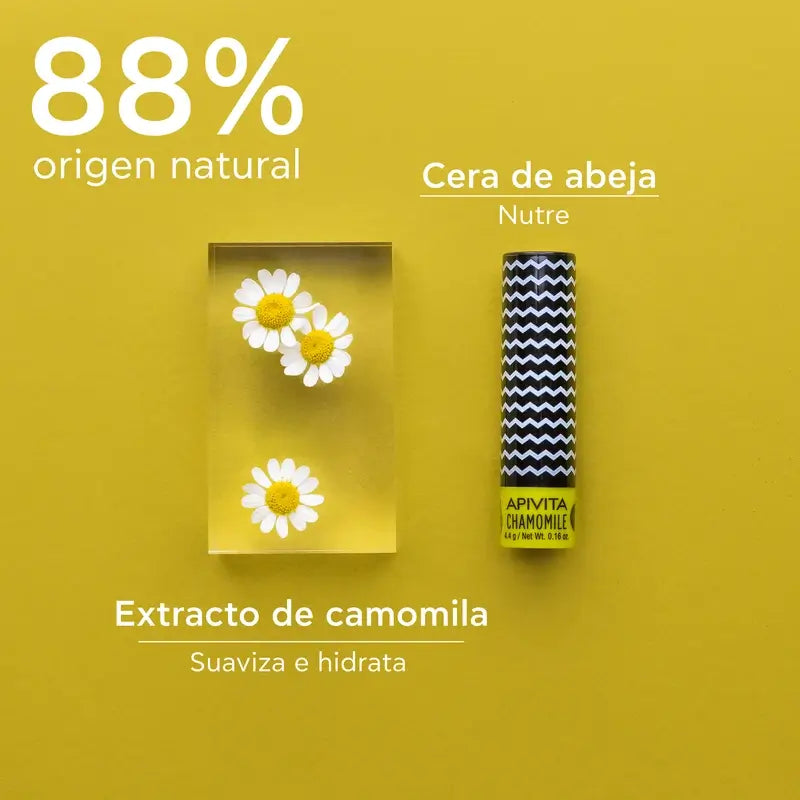 APIVITA Baume à lèvres SPF 15 à la camomille 4,4 g