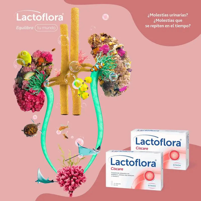 Lactoflora Ciscare 15 gélules
