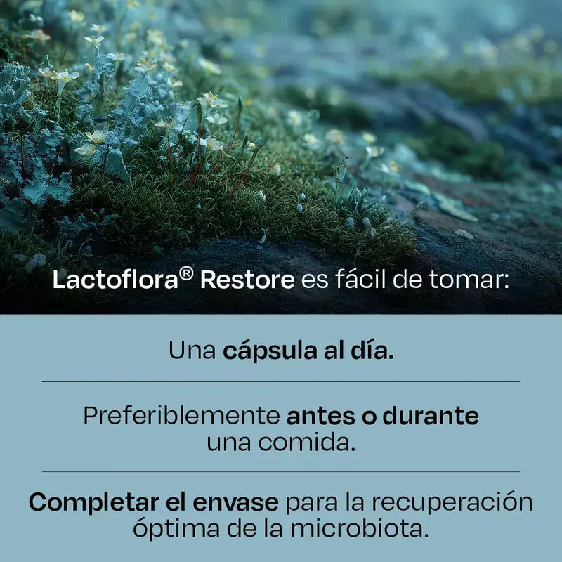 Lactoflora Restore 20 gélules