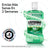 Listerine Duplo Bain de bouche Protection des dents et des gencives Bain de bouche à la menthe douce Sans alcool, 2 x 500 ml