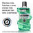 Rince-bouche Listerine pour la protection des dents et des gencives, menthe fraîche, 500 ml