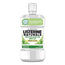 Rince-bouche Gingiva de Listerine Naturals, 500 ml