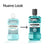 LISTERINE Bain de bouche au menthol, 500 ml