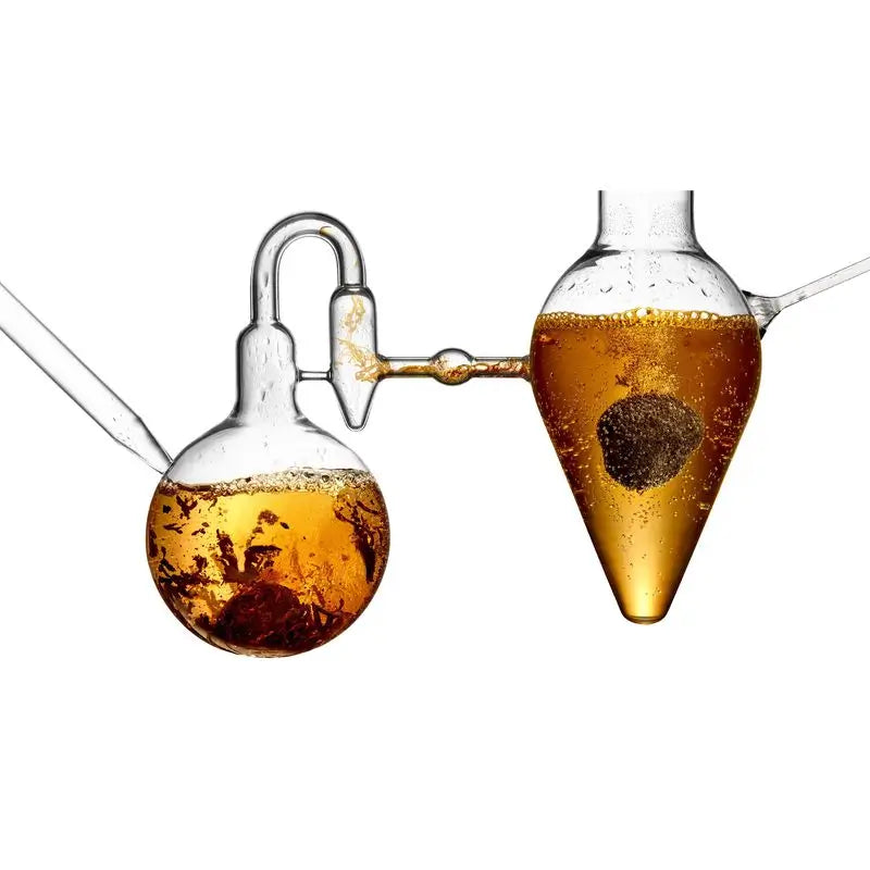 L'Oréal Paris Age Perfect Cellular Renaissance Revitalising Sunscreen Day Cream Spf15 50Ml