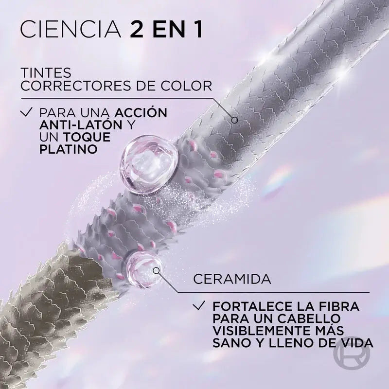 L'Oreal Paris Cool Silver 3 Fard à Joues Argenté