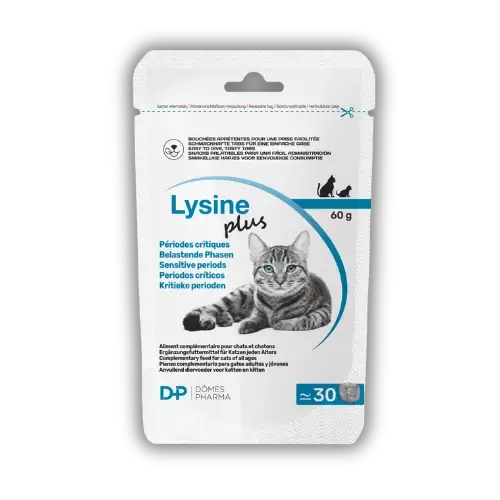 Lysine Plus 30 friandises de 2 g