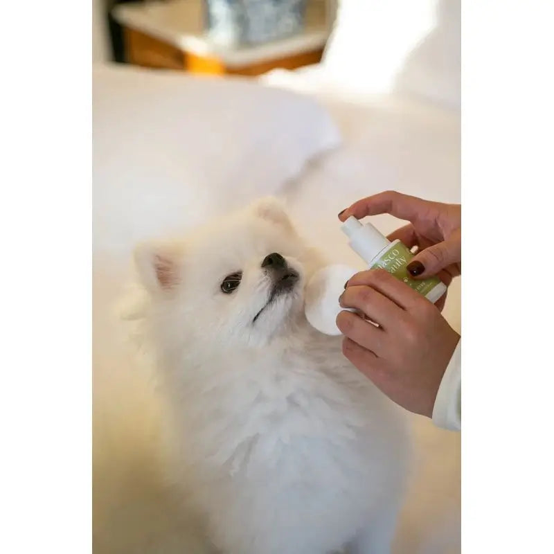 Masco Beauty Nettoyant pour les yeux pour chiens, 30ml