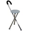 Mobiclinic Walking Stick With Folding Seat