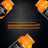 Named Sport Supplement Acetyl L-Carnitine, 1 bouteille de 60 cpr