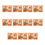 Nature's Variety Mini Flowpack, 100 g, lot de 11