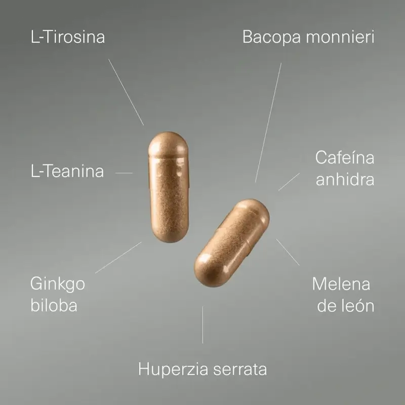 Aldous Labs Nootropic avec Ginkgo Biloba, Crinière de Lion, Caféine, Bacopa, Tyrosine, Théanine, Théanine et Huperzine A