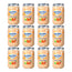 Nutriben Potito Fruits assortis, 12 x 235 grammes