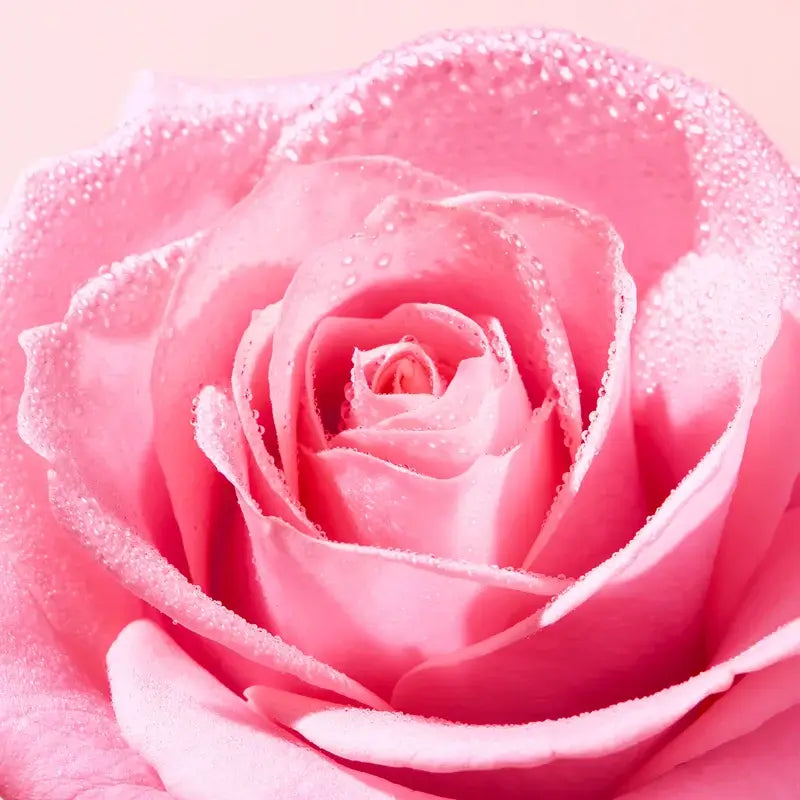 Baume à lèvres Very Rose de Nuxe