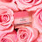 Baume à lèvres Very Rose de Nuxe