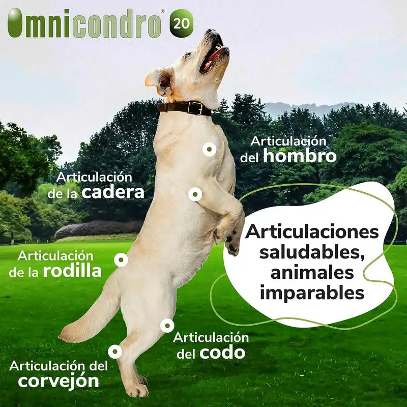 Omnicondro 20 Chondroprotecteur Chiens, Pack 3 x 60 Comprimés