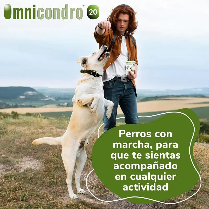 Omnicondro 20 Chondroprotecteur Chiens, Pack 3 x 60 Comprimés