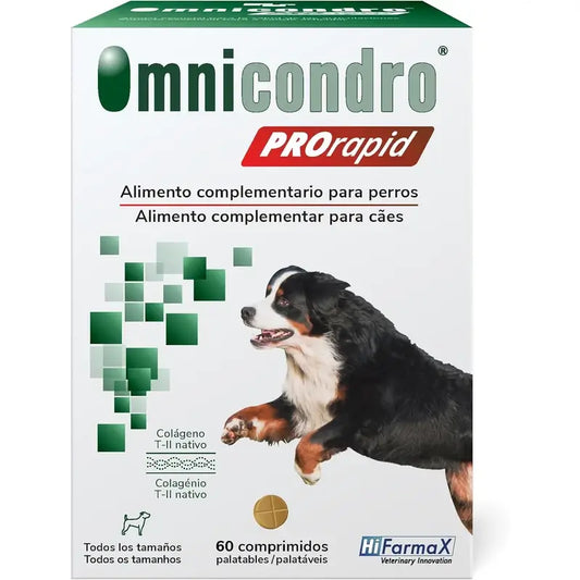 Omnicondro Prorapid, 60 Comprimés