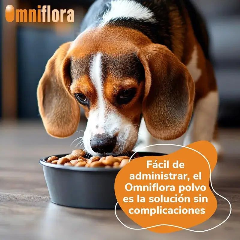 Omniflora Oral Powder, 30 Sachets x 2 grammes