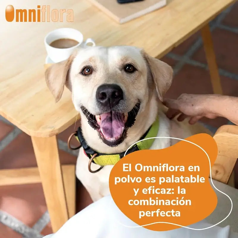 Omniflora Oral Powder, 30 Sachets x 2 grammes