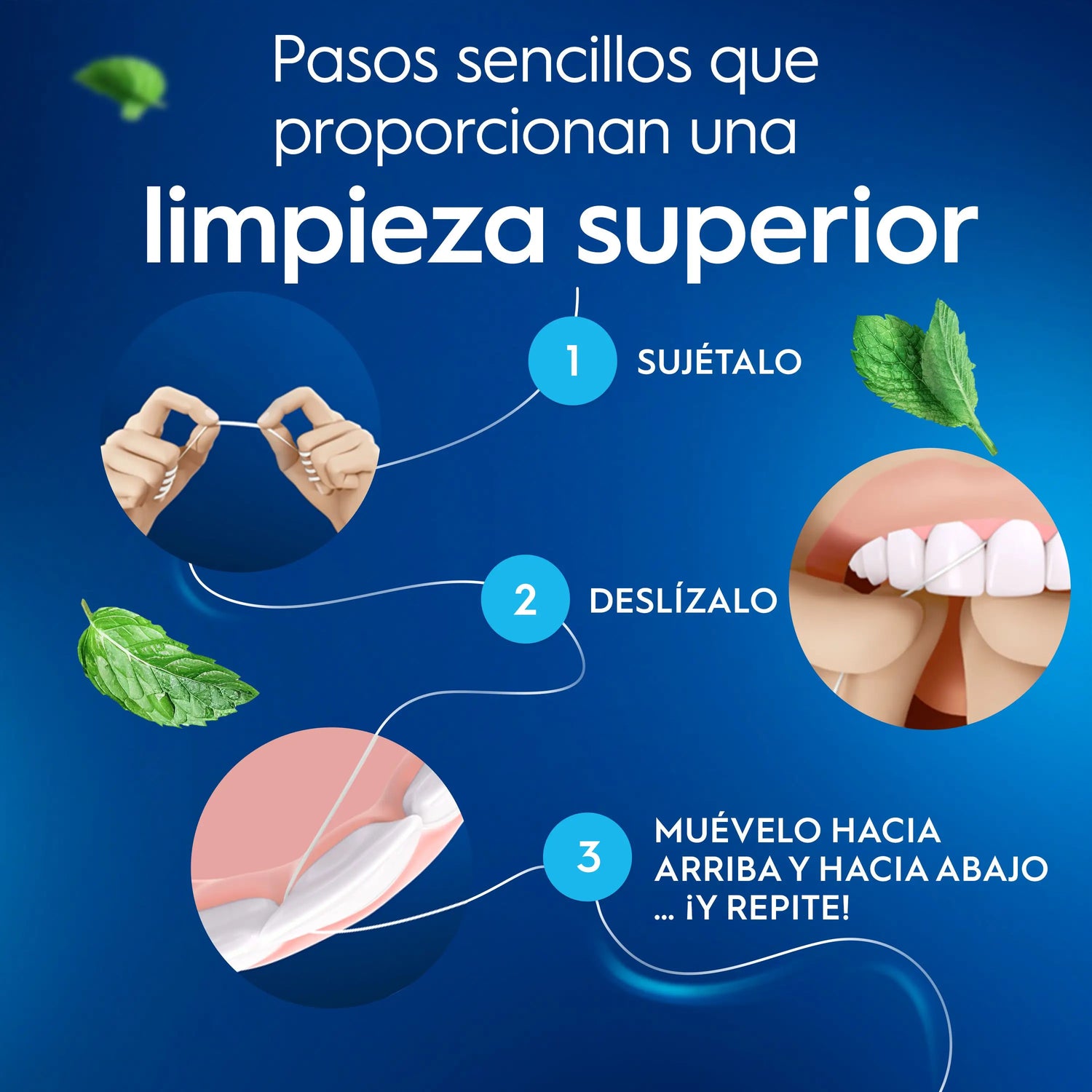 Oral-B Satin Tape Menthe 50 mètres