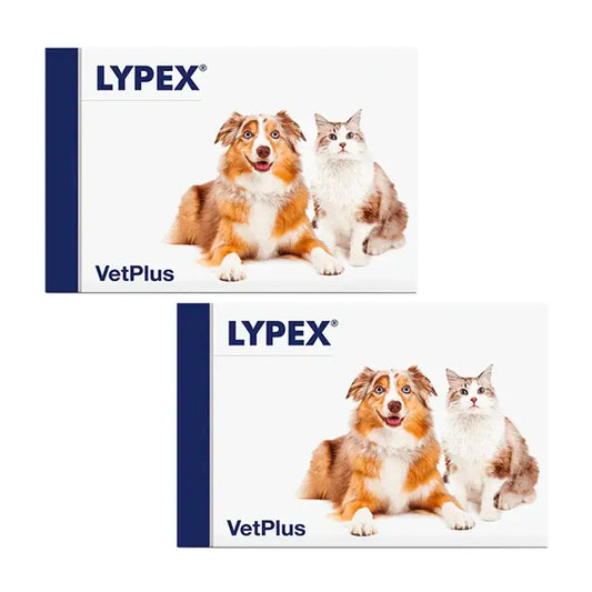 Lypex Blister, paquet de 2 x 60 gélules