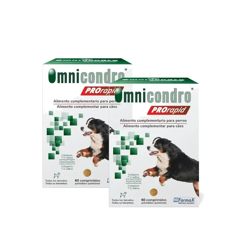 Omnicondro Prorapid, Boîte 2 x 60 Comprimés